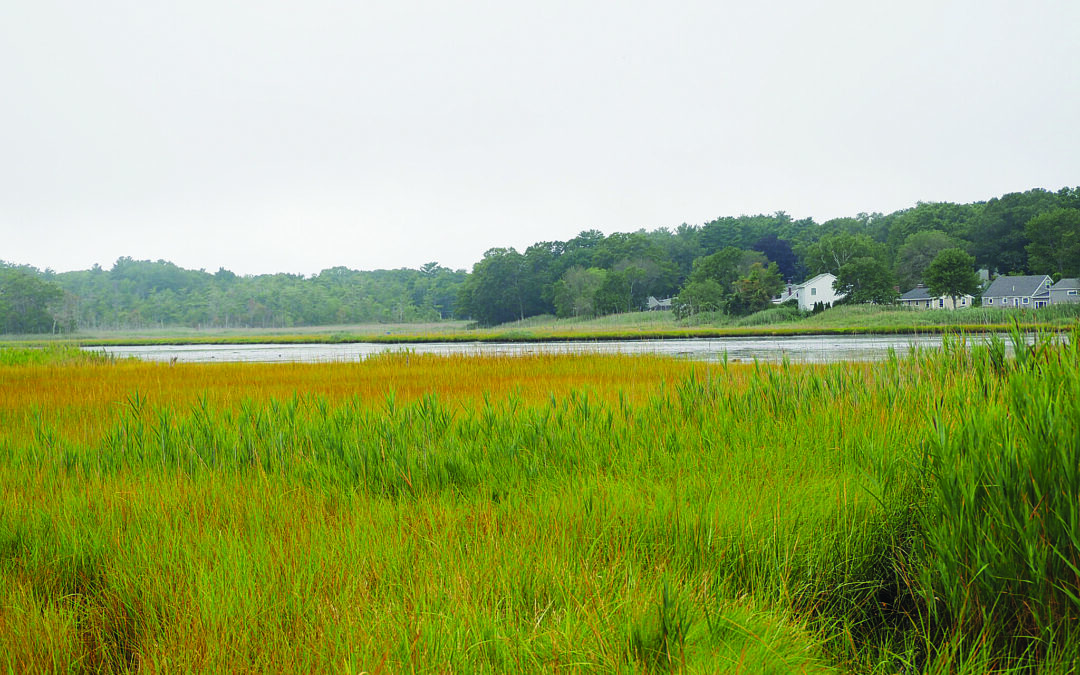 In Hampton, a Race to Insulate Neighborhoods Against Sea-Level Rise